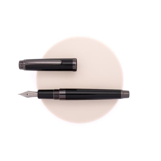 Platinum 3776 Century Penna Stilografica Travia Edizione Limitata