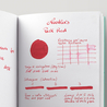 Noodler's Park Red Inchiostro 3 oz