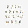 Bande Bande Washi Tape Laundry Together: With the Cat and Me