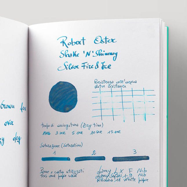 Robert Oster Shake 'N' Shimmy Silver Fire and Ice Ink Bottle 50ml