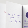Noodler's Purple Inchiostro 3 oz