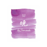 Sailor Sailor's Voyage Set of 4 Inks Limited Edition