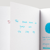 Diamine Diamine Inkvent Let it Snow Inchiostro 50 ml Teal Edition Chameleon