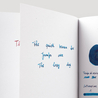 Diamine Diamine Inkvent Celestial Skies Inchiostro 50 ml Teal Edition Shimmer