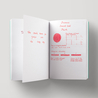 Diamine Diamine Inkvent Blush Inchiostro 50 ml Teal Edition