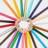 Blackwing Blackwing Colors Set di 24 Matite Colorate