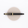 Pilot Custom 742 Waverly Nib Fountain Pen Black