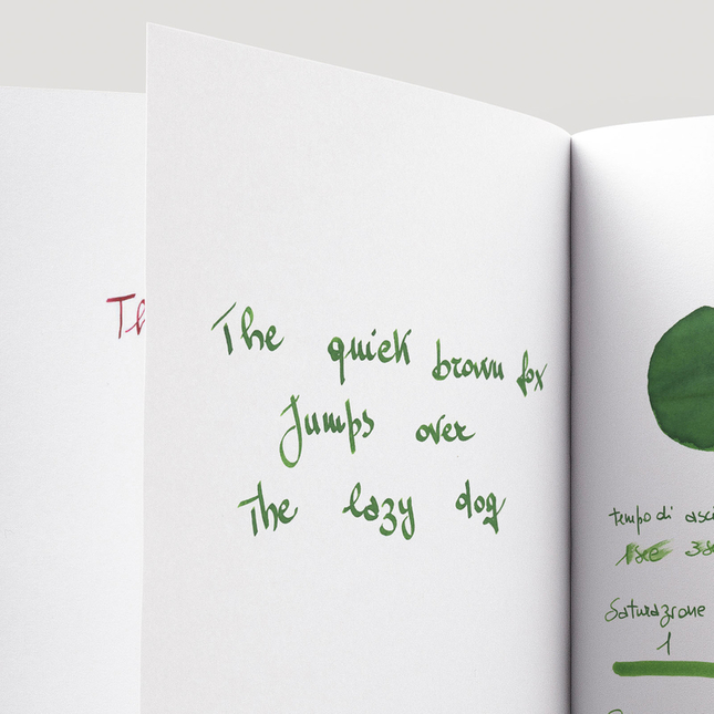 Noodler's Standard Green Inchiostro 3 oz
