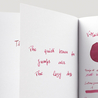 Noodler's V-Mail Mandalay Maroon Inchiostro 3 oz