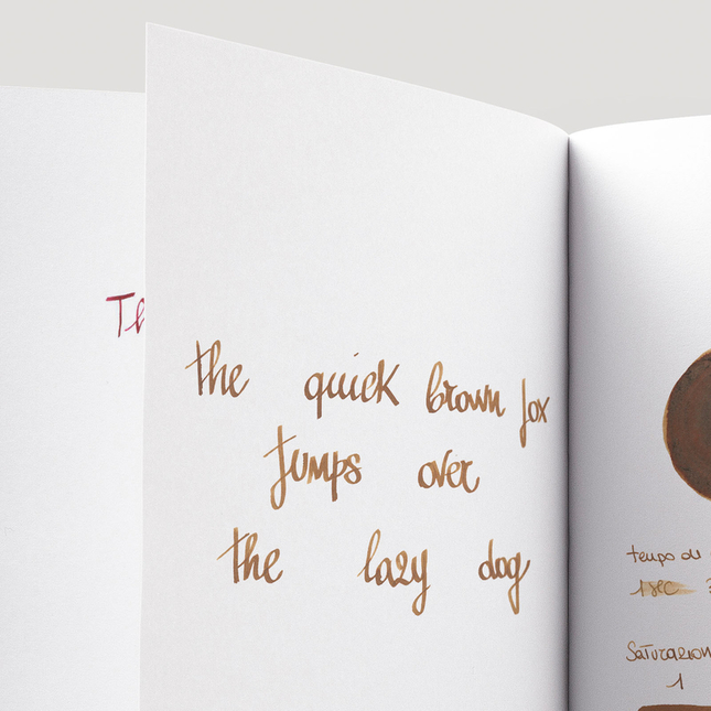 Herbin Lie de The Inchiostro 10 ml