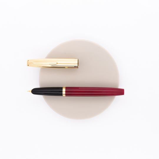 Aurora Duo Cart Penna Stilografica Bordeaux & Oro