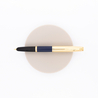 Aurora Duo Cart Fountain Pen Blue & Gold