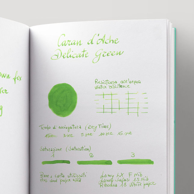 Caran d'Ache Delicate Green 6 Cartucce