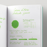 Caran d'Ache Delicate Green 6 Cartucce