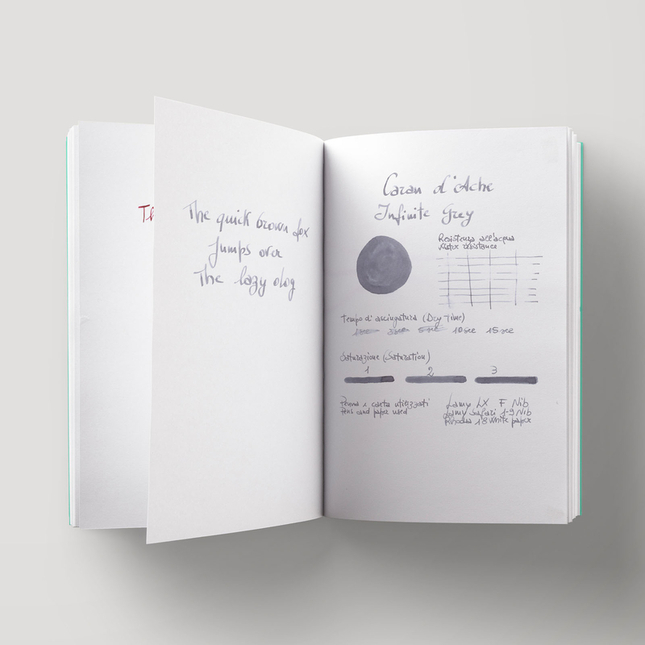 Caran d'Ache Infinite Grey 6 Cartucce