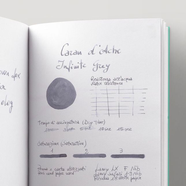Caran d'Ache Infinite Grey 6 Cartucce