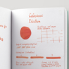 Colorverse Electron & Selectron Ink Bottle 65 + 15 ml