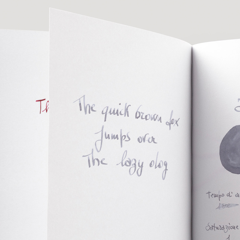 Caran d'Ache Infinite Grey 6 Cartucce