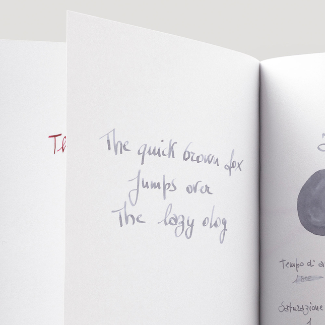 Caran d'Ache Infinite Grey 6 Cartucce