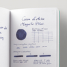 Caran d'Ache Magnetic Blue 6 Cartucce