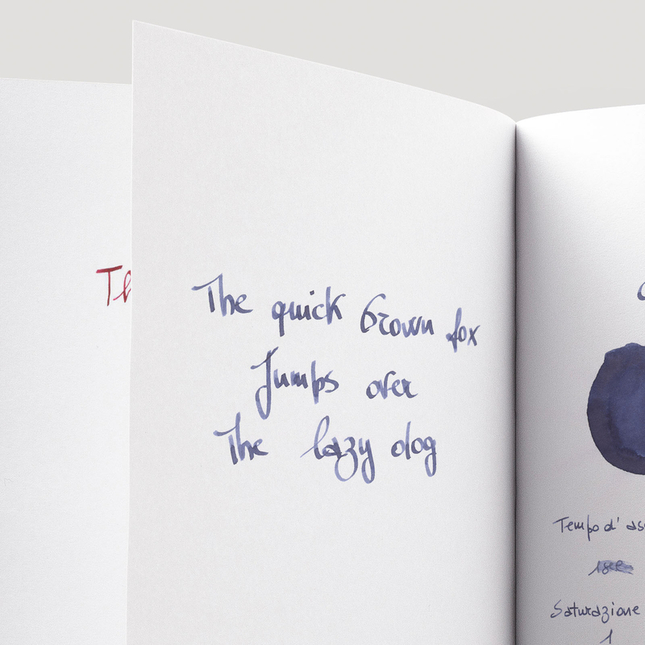 Caran d'Ache Magnetic Blue 6 Cartucce